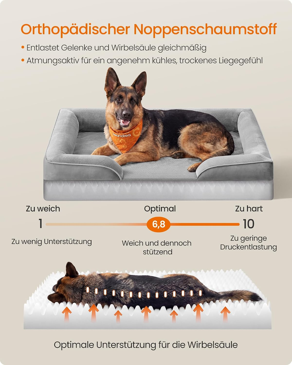 Detailansicht von FEANDREA Orthopädisches Hundebett