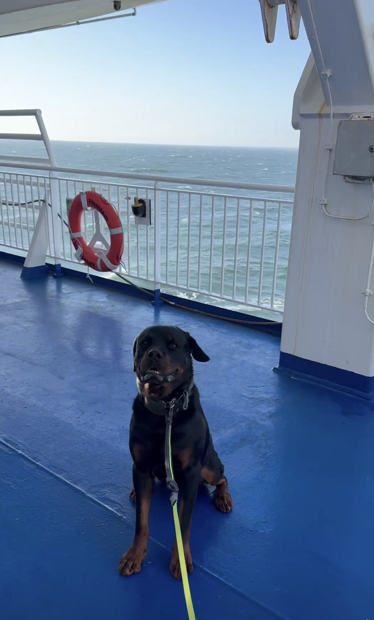 Rottweiler Thor auf dem Aussendeck von Finnlines