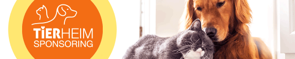 Tierheimsponsoring – Hund und Katze als Symbol für die Unterstützung von Tierheimen