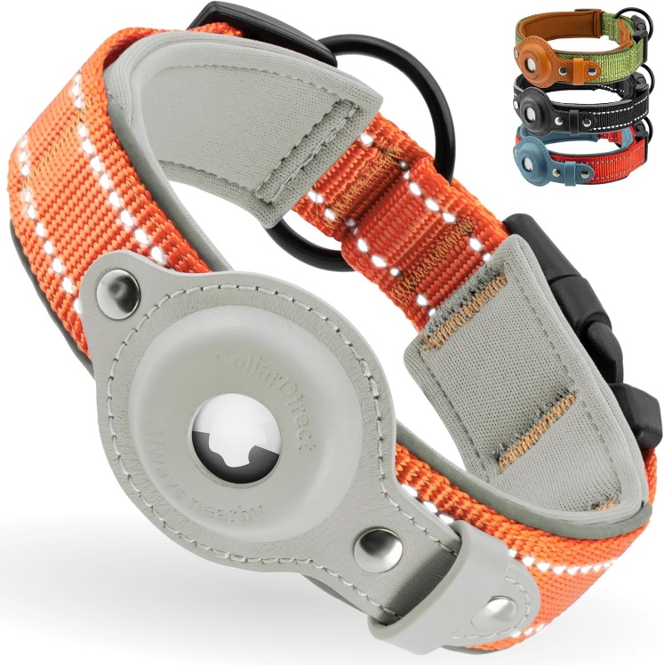 Oranges reflektierendes CollarDirect Hundehalsband mit AirTag-Aufnahme